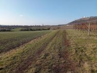 Prodej orné půdy v žádané viniční trati " Pod Svatým kopečkem I" v Mikulově - IMG_20220111_123258.jpg